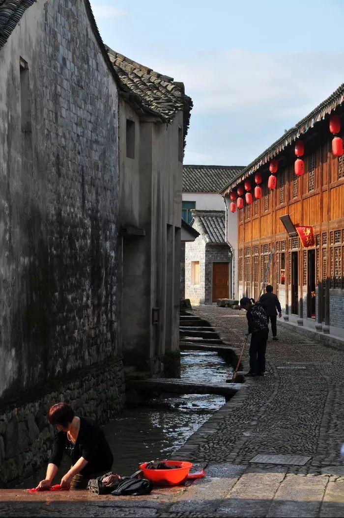 动物帮帮忙保卫家园